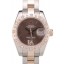 Rolex DateJust Brushed Stainless Steel Case Brown Dial Diamond Plated