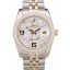 Rolex DateJust Brushed Stainless Steel Case Silver Flowers Dial Diamonds Plated
